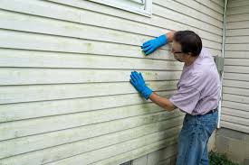 Affordable Siding Repair and Maintenance Services in Lloyd Harbor, NY